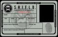 Shield ID badge