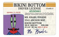 Mr. Krabs Driver License — Bikini Bottom ID Card